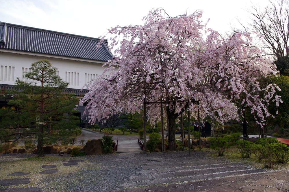 🏰 쇼류지 성 공원 (勝竜寺城公園) 이미지 7